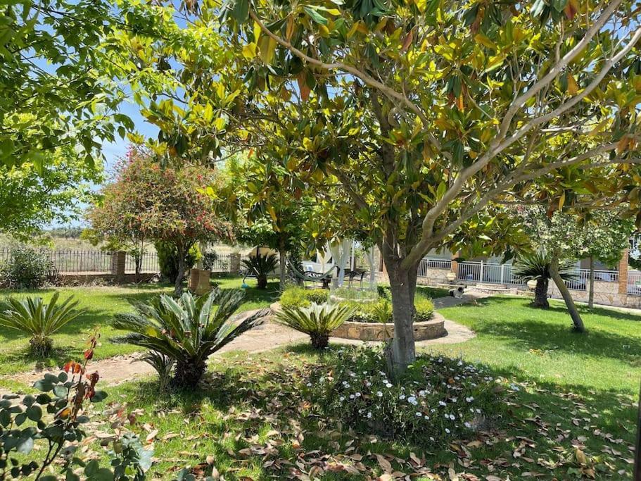 Mama'S Sunshine Garden Villa Agios Ilias  外观 照片