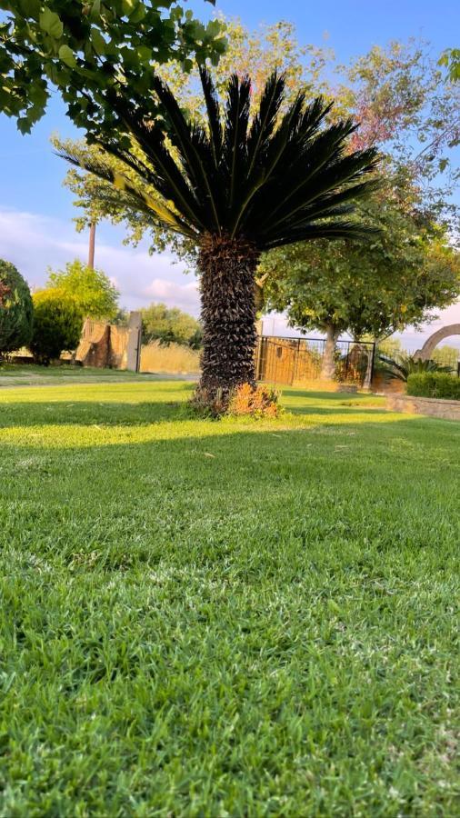 Mama'S Sunshine Garden Villa Agios Ilias  外观 照片