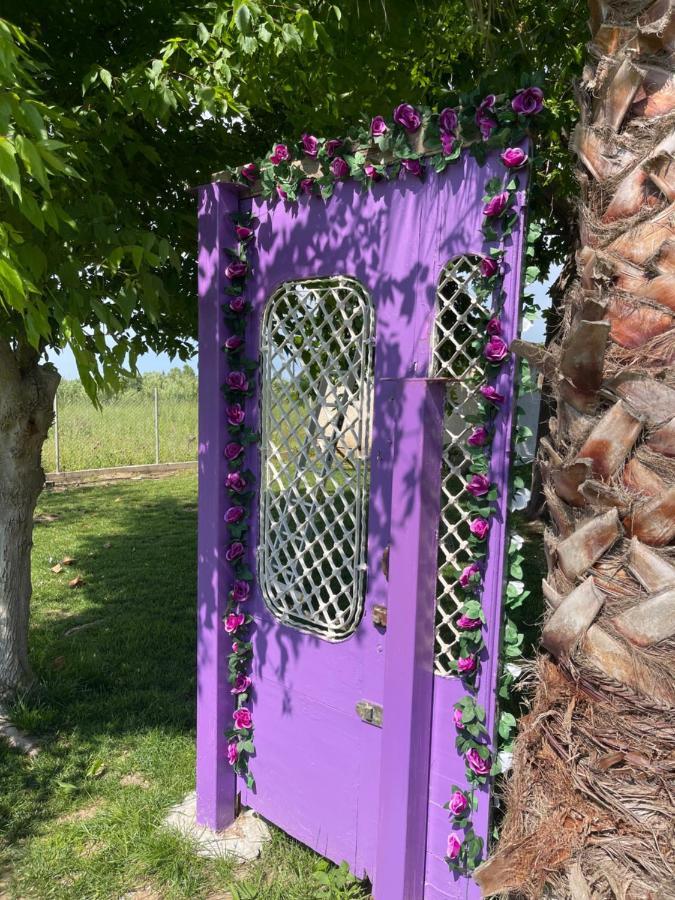 Mama'S Sunshine Garden Villa Agios Ilias  外观 照片