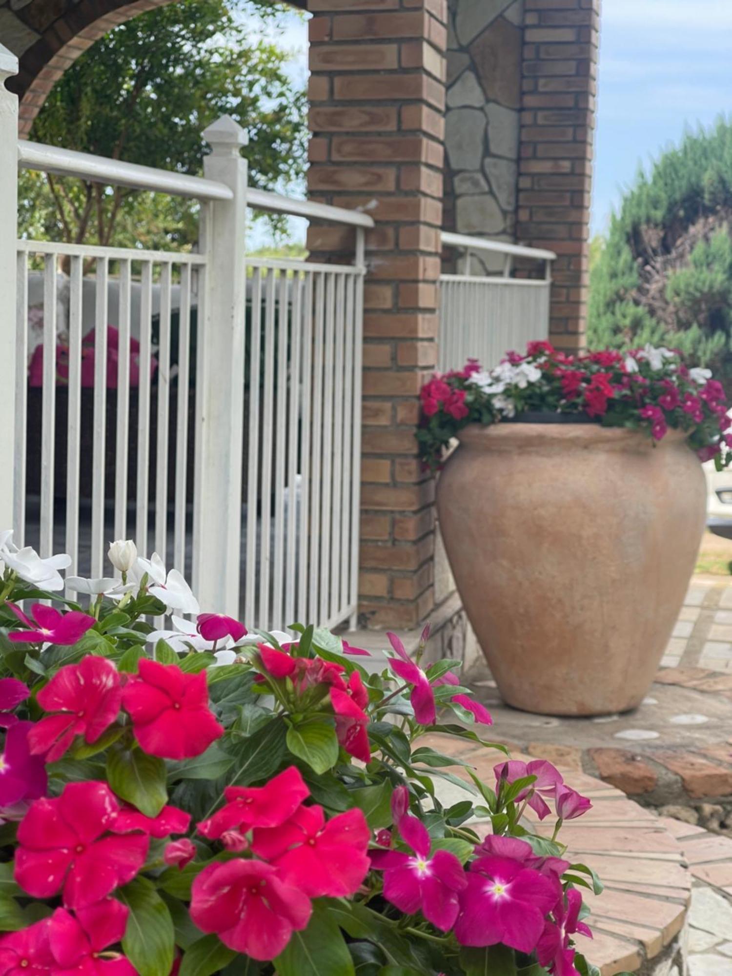 Mama'S Sunshine Garden Villa Agios Ilias  外观 照片