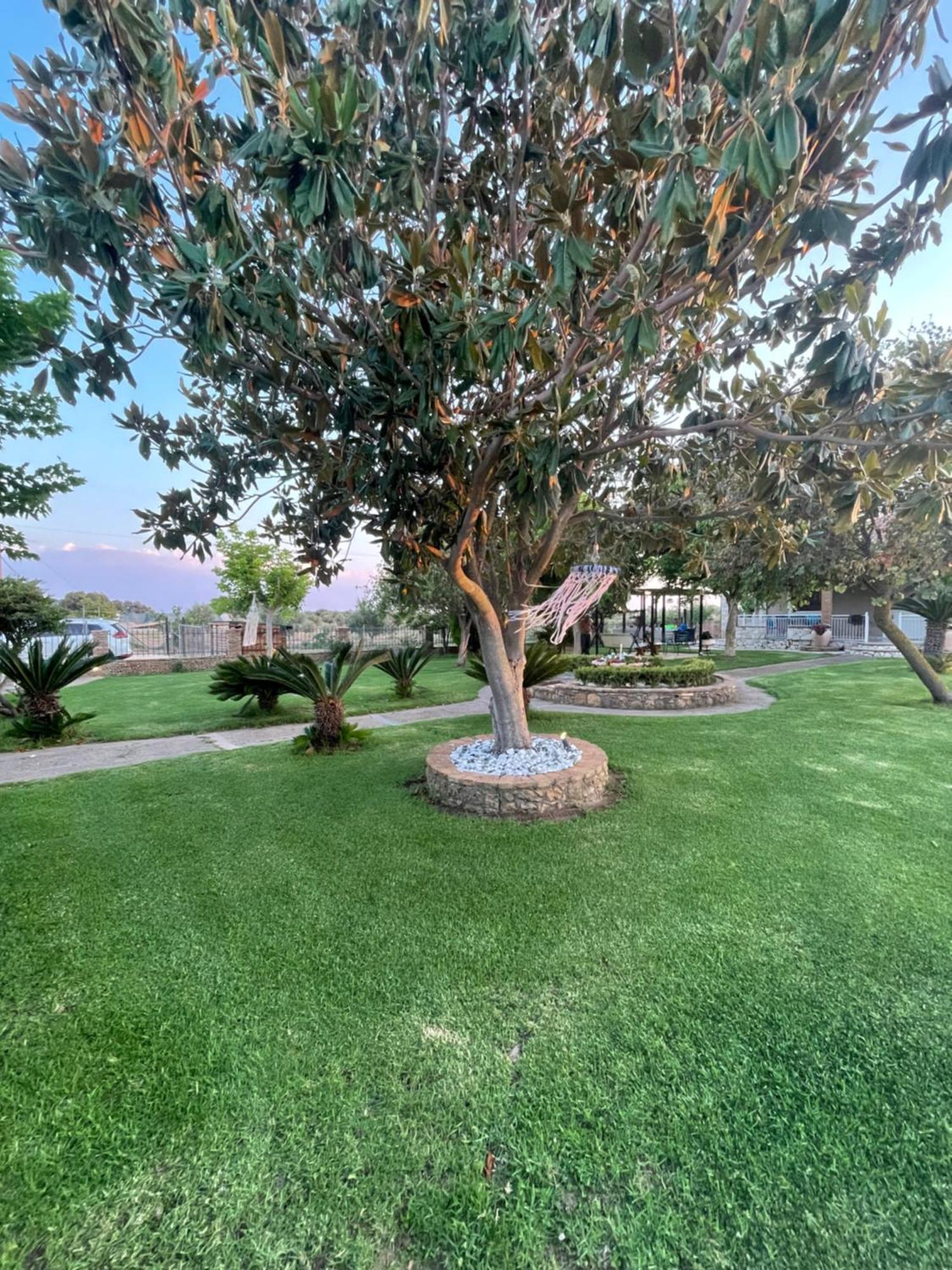 Mama'S Sunshine Garden Villa Agios Ilias  外观 照片
