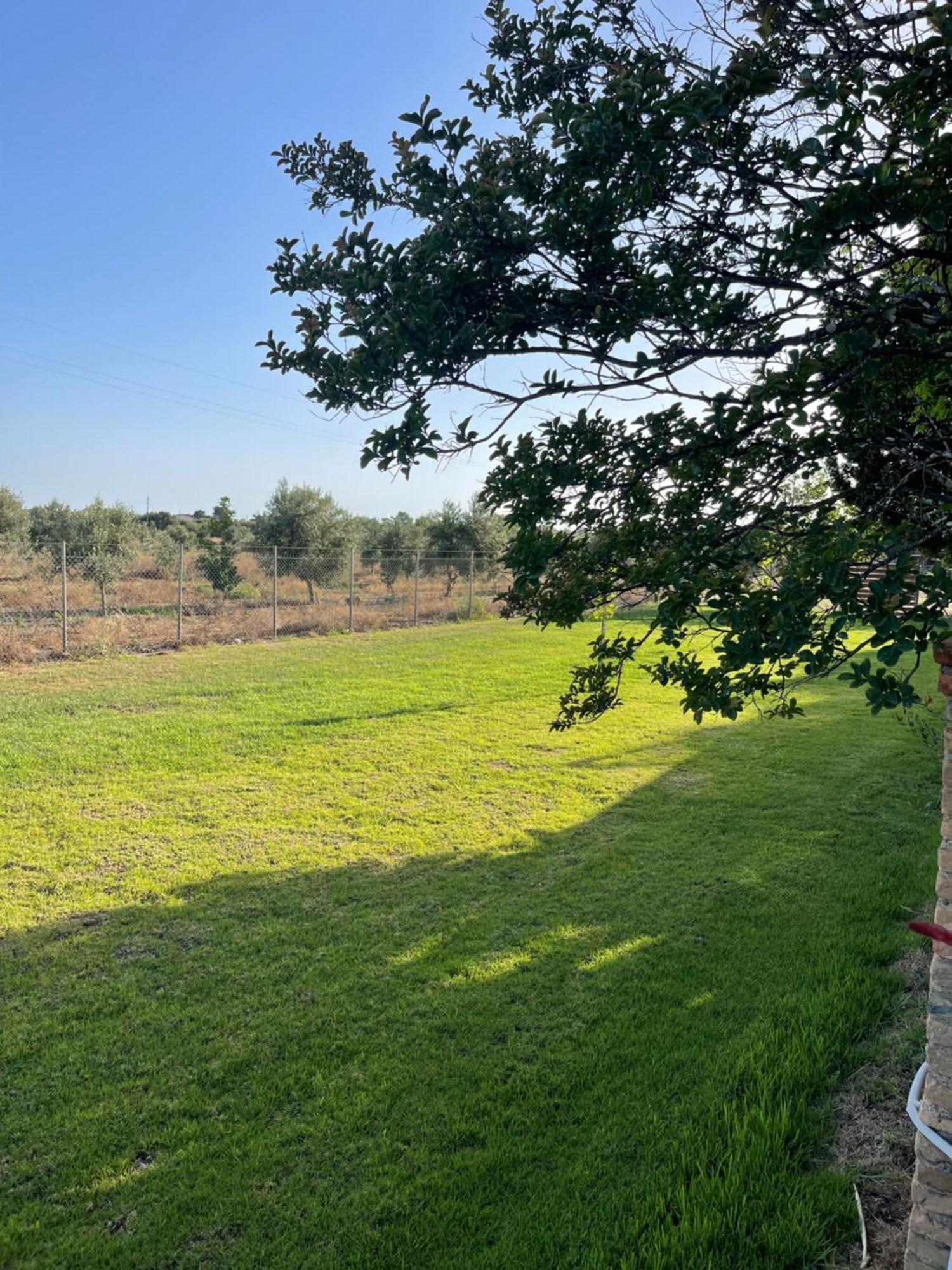 Mama'S Sunshine Garden Villa Agios Ilias  外观 照片